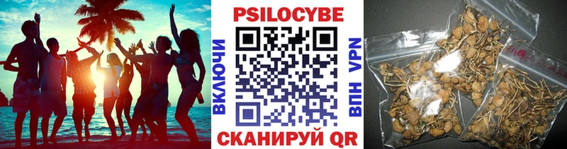 Галлюциногенные грибы Magic Shrooms  Александровск-Сахалинский 